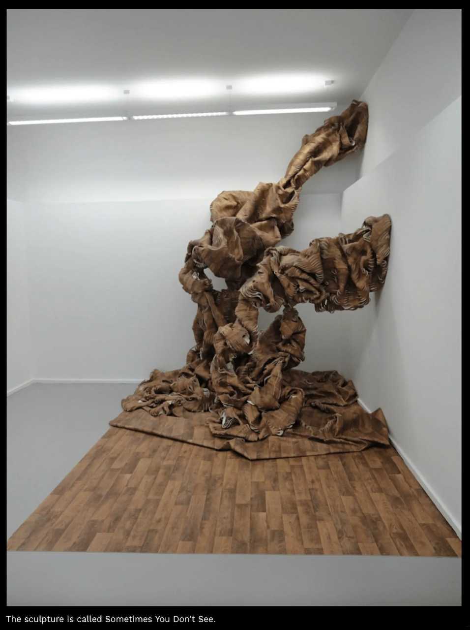David Booth sculpture - Sometimes you don't see